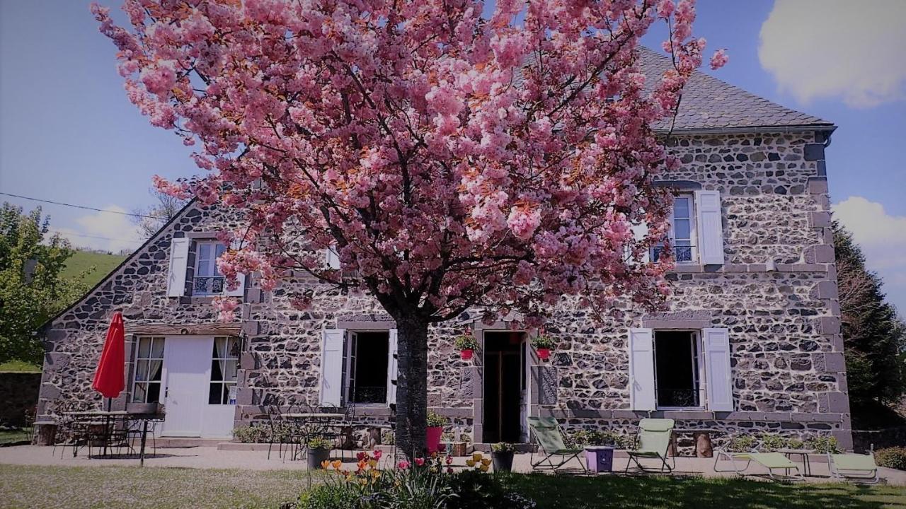 Maison D'Hotes La Nichee Rochefort-Montagne 외부 사진